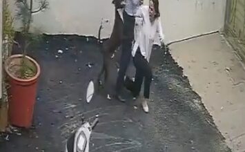 Couple attacked by pitbull while viewing rental home in Punjab, video emerges Couple attacked by pitbull while viewing rental home in Punjab, video emerges