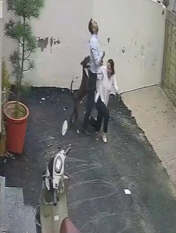 Couple attacked by pitbull while viewing rental home in Punjab, video emerges