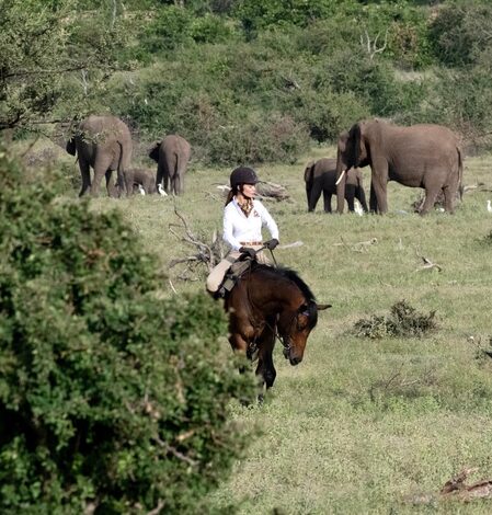 Amy Jackson: Elephants remind us that every animal is a masterpiece of nature Amy Jackson: Elephants remind us that every animal is a masterpiece of nature