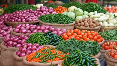 WPI inflation eases on softer energy prices, economists expect moderation ahead WPI inflation eases on softer energy prices, economists expect moderation ahead