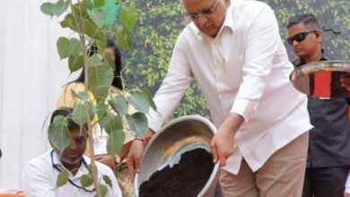 Gujarat: Amreli launches green drive, Oxygen Park ahead of I-Day Gujarat: Amreli launches green drive, Oxygen Park ahead of I-Day