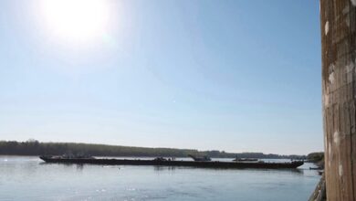 Hungary begins sinking barges to protect nuclear power plant as water level decreases