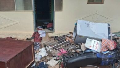 3 wildlife hunters killed in K’taka forest encounter; Shivakumar orders magistrate inquiry