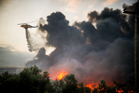 Record wildfire scorches 2,000 hectares in Belgium Record wildfire scorches 2,000 hectares in Belgium