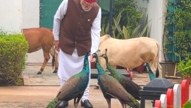 Special, as always: PM Modi shares heartwarming daily routine with ‘friends’ Special, as always: PM Modi shares heartwarming daily routine with ‘friends’