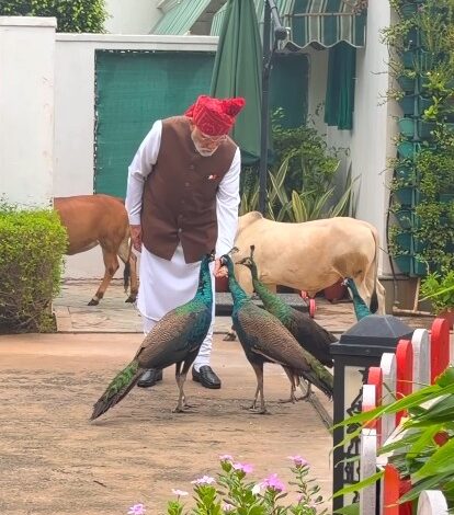 Special, as always: PM Modi shares heartwarming daily routine with ‘friends’ Special, as always: PM Modi shares heartwarming daily routine with ‘friends’