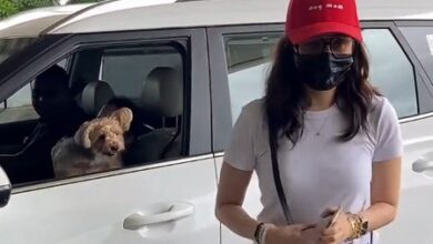 Shraddha Kapoor gets the cutest airport goodbye as her furry friend comes to see her off Shraddha Kapoor gets the cutest airport goodbye as her furry friend comes to see her off