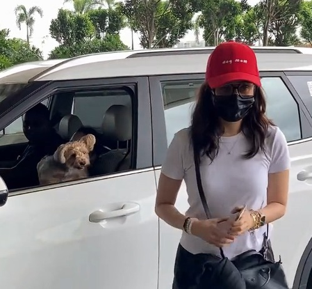 Shraddha Kapoor gets the cutest airport goodbye as her furry friend comes to see her off Shraddha Kapoor gets the cutest airport goodbye as her furry friend comes to see her off