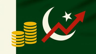 Pakistan’s digital payments boom fails to break economy’s dependence on cash Pakistan’s digital payments boom fails to break economy’s dependence on cash