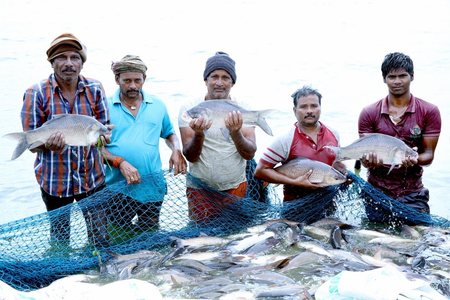 India world’s 2nd-largest fish producer, contributes 8 pc to global output India world’s 2nd-largest fish producer, contributes 8 pc to global output