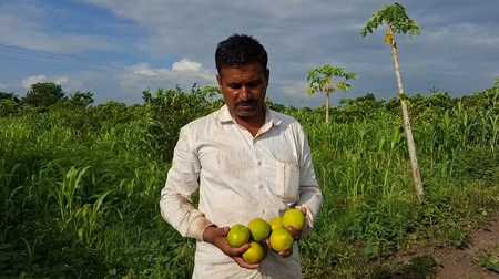Central scheme transforms farmers’ fortunes; sweet lime orchard brings good income
