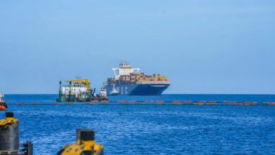 Vizhinjam all set for next big leap: CM Satheesan reviews port readiness before EXIM operations