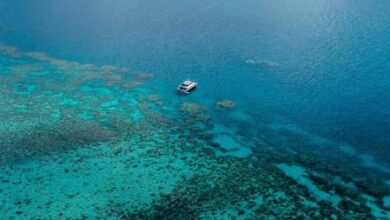 Researchers in Australia develop new tool to assess Great Barrier Reef health Researchers in Australia develop new tool to assess Great Barrier Reef health