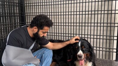 NTR Jr mourns beloved pet Bagheera: Your absence leaves a silence NTR Jr mourns beloved pet Bagheera: Your absence leaves a silence