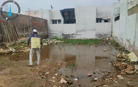 Gujarat records sharp decline in malaria, dengue and chikungunya cases in 2026 Gujarat records sharp decline in malaria, dengue and chikungunya cases in 2026