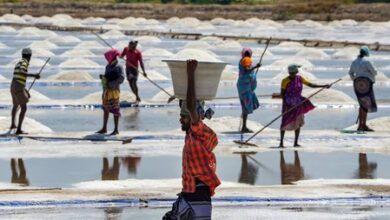 TN’s Vedaranyam salt producers near annual target as summer heat boosts output