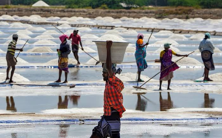 TN’s Vedaranyam salt producers near annual target as summer heat boosts output TN’s Vedaranyam salt producers near annual target as summer heat boosts output