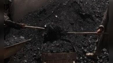 SAIL welcomes Mines and Minerals Amendment Act, says reform will boost mining viability