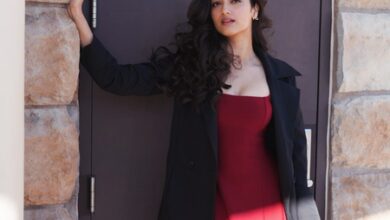 Makers of upcoming film starring Aditya Roy Kapur, deny casting Bhagyashree Borse in the film Makers of upcoming film starring Aditya Roy Kapur, deny casting Bhagyashree Borse in the film