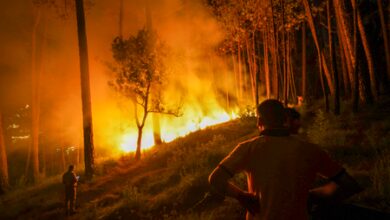 10 acres of Chamarajanagar reserve gutted; fire suspected to be retaliation for killing of poachers by Forest Dept 10 acres of Chamarajanagar reserve gutted; fire suspected to be retaliation for killing of poachers by Forest Dept