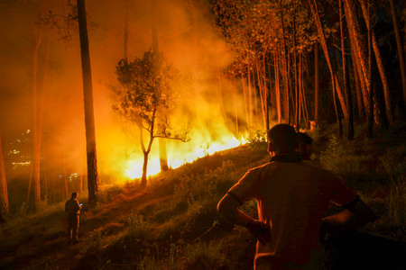 10 acres of Chamarajanagar reserve gutted; fire suspected to be retaliation for killing of poachers by Forest Dept 10 acres of Chamarajanagar reserve gutted; fire suspected to be retaliation for killing of poachers by Forest Dept