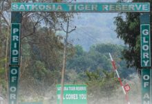 Odisha govt forms high-level panel to examine Satkosia relocation process