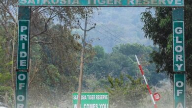 Odisha govt forms high-level panel to examine Satkosia relocation process