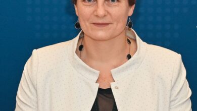 ‘We are Nordic lights reflecting Gandhi’s values in world’: Lithuania envoy on India ties ‘We are Nordic lights reflecting Gandhi’s values in world’: Lithuania envoy on India ties