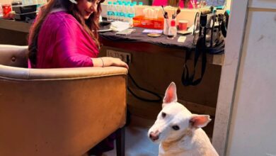 Divya Dutta urges compassion for stray dogs after emotional encounter on film set