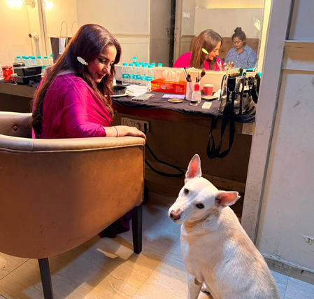 Divya Dutta urges compassion for stray dogs after emotional encounter on film set Divya Dutta urges compassion for stray dogs after emotional encounter on film set