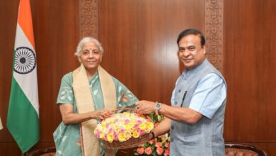 CM Sarma briefs FM Sitharaman on Assam flood damage