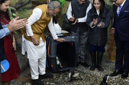 Gujarat: Ahmedabad Science City welcomes two new penguin chicks as ‘Space Festival’ begins Gujarat: Ahmedabad Science City welcomes two new penguin chicks as ‘Space Festival’ begins