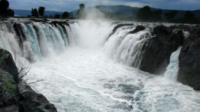 Hogenakkal inflow rises to 12,000 cusecs as Karnataka steps up Cauvery release