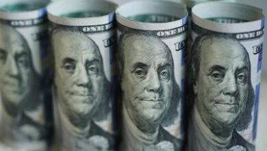 Banks raise .8 billion in forex inflows till Aug 21, FCNR(B) deposits reach .4 billion: RBI