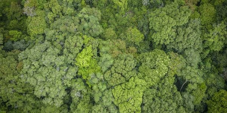 Biodiversity Authority gives Rs 2.82 crore to States under benefit-sharing mechanism Biodiversity Authority gives Rs 2.82 crore to States under benefit-sharing mechanism