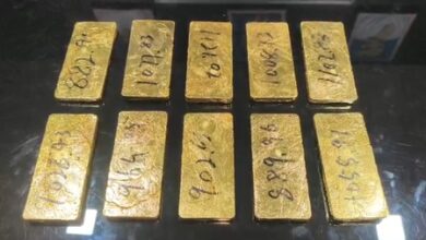 From Gorakhpur to Delhi: Police intercept car carrying 10 kg gold