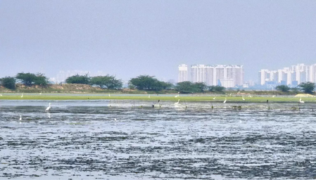 TN: Mamallan reservoir work sparks inter-departmental friction