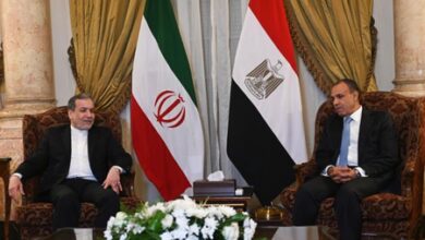 Egypt, Iran discuss efforts to resume diplomatic track for regional de-escalation