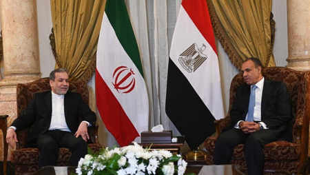 Egypt, Iran discuss efforts to resume diplomatic track for regional de-escalation Egypt, Iran discuss efforts to resume diplomatic track for regional de-escalation