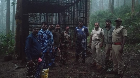 TN: Nilgiris tiger declared man-eater after two fatal attacks TN: Nilgiris tiger declared man-eater after two fatal attacks