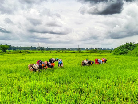 Over 18 lakh farmers switch to natural farming as India transits to regenerative agriculture