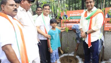 Nurture saplings till they mature, NDMC V-C Kuljeet Singh Chahal tells citizens Nurture saplings till they mature, NDMC V-C Kuljeet Singh Chahal tells citizens