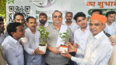 50 lakh out of targeted 70 lakh saplings already planted in Delhi: Minister Pankaj Kumar Singh 50 lakh out of targeted 70 lakh saplings already planted in Delhi: Minister Pankaj Kumar Singh