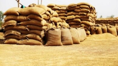 17-tonne ration rice haul seized near Kerala border, TN Revenue official assaulted