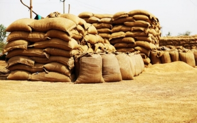 17-tonne ration rice haul seized near Kerala border, TN Revenue official assaulted 17-tonne ration rice haul seized near Kerala border, TN Revenue official assaulted