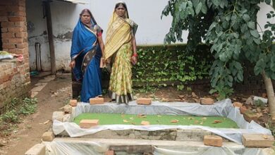 Chhattisgarh: Women from SHGs find employment in Azolla production, thank govt Chhattisgarh: Women from SHGs find employment in Azolla production, thank govt
