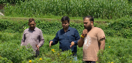 J&K: 80-year-old farmer earns income through floriculture, becomes inspiration for others J&K: 80-year-old farmer earns income through floriculture, becomes inspiration for others