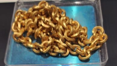 Woman passenger held with Rs 83 lakh gold chain concealed in sweater at Ahmedabad airport Woman passenger held with Rs 83 lakh gold chain concealed in sweater at Ahmedabad airport