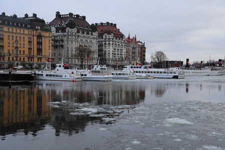 Thousands march in Stockholm for stronger climate action ahead of election