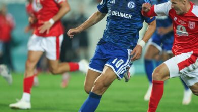 Dzeko shines as Schalke survive scare in German Cup Dzeko shines as Schalke survive scare in German Cup